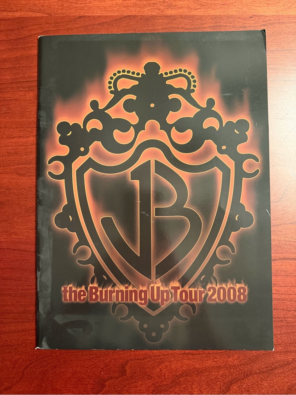 Jonas Brothers The Burning Up Tour 2008 Tour Booklet